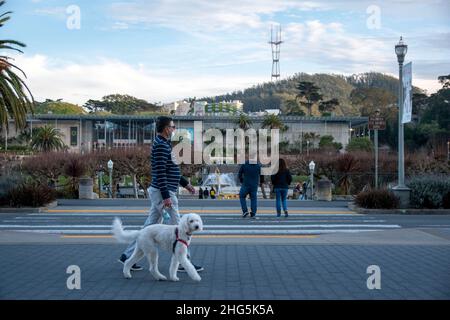 The DeYoung Museum is a prominent part of Golden Gate Park in San Francisco, CA, USA which holds art exhibits. Stock Photo