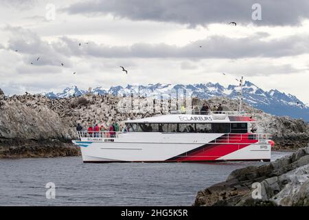 Tour boat at imperial shag, Leucocarbo atriceps, breeding colony near Ushuaia, Argentina. Stock Photo