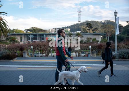 The DeYoung Museum is a prominent part of Golden Gate Park in San Francisco, CA, USA which holds art exhibits. Stock Photo