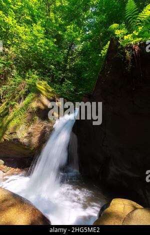 waterfall among the rocks in the forest. beautiful nature scenery in summer on a sunny day Stock Photo