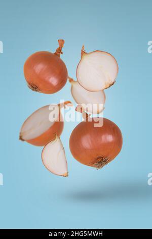 Whole and sliced onions flying in air isolated on bright blue background. Creative food concept. Stock Photo