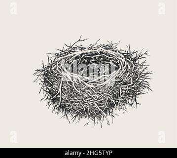 An Empty Nest without Eggs. Hand Drawn Vector Illustration Stock Vector