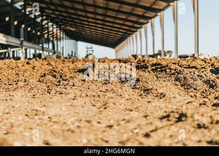 close-up of the land of a livestock farm at dawn Stock Photo