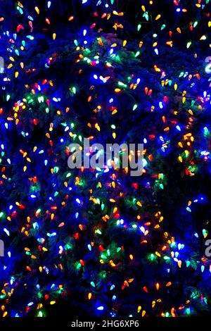 Christmas lights on Christmas tree Stock Photo