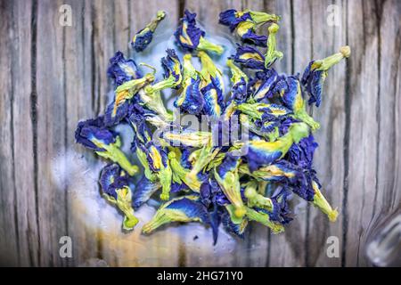 Butterfly pea blue flowers for Clitoria ternatea plant colorful color tea and leaves flat top lay above macro closeup view on wooden table background Stock Photo
