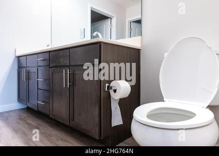 Empty bathroom interior nobody in new modern luxury apartment home house hotel and white toilet paper roll his and her sink and cabinets low angle vie Stock Photo