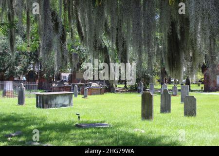 Spanish moss hanging at Colonial Park Cemetery in Savannah, Georgia Stock Photo