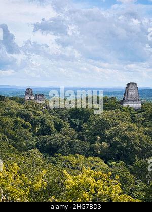 View from Temple IV; Tikal National Park, Guatemala Stock Photo