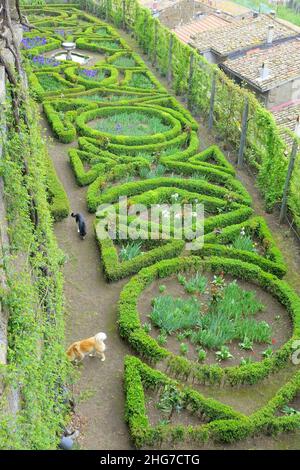 Side garden - Castello Ruspoli - Vignanello, Italy Stock Photo