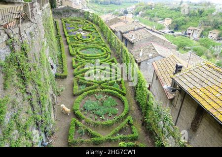 Side garden - Castello Ruspoli - Vignanello, Italy Stock Photo