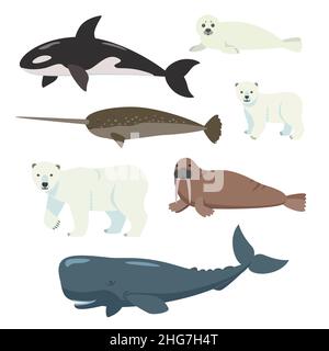 Set of cartoon polar animals, whales and bears isolated on white background Stock Vector