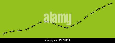 Ants trail. Route or path of worker ants isolated in green background. Vector illustration Stock Vector
