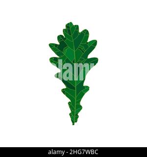 Green silhouette oak tree leaf isolated on white background. Design element for decorating. Stock Vector