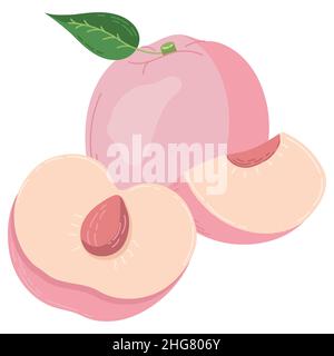 A set of peach fruit drawn in a flat style, slices and halves of fruit, leaves and bones. A set of stickers in pastel colours Stock Vector