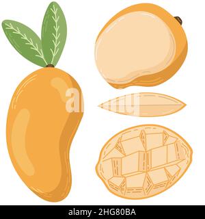 A set of mango fruit drawn in a flat style, slices and halves of fruit, leaves and bones. A set of stickers in pastel colours Stock Vector