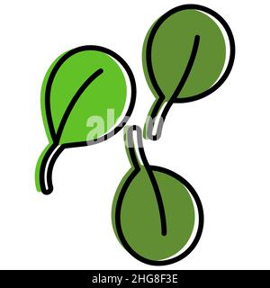 Fresh spinach leaves, stylized. Simplified outline color filled vector illustration for various compositions Stock Vector