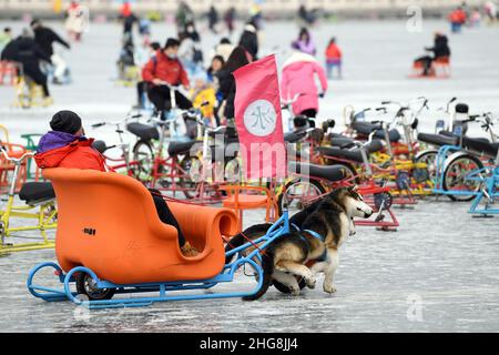 https://l450v.alamy.com/450v/2hg8jj4/beijing-beijing-china-19th-jan-2022-on-january-19-2022-citizens-and-tourists-in-beijing-shichahai-ice-rink-were-in-high-spirits-and-enjoyed-the-fun-of-winterbeijing-shichahai-ice-rink-was-officially-opened-including-qianhai-and-houhai-areas-online-booking-is-mainly-adopted-visitors-need-to-pass-the-health-treasure-travel-code-code-scanning-and-temperature-measurement-before-entering-the-site-ice-and-snow-for-all-has-become-a-folk-sports-trend-in-2022-winter-olympic-games-credit-image-sipa-asia-via-zuma-press-wire-2hg8jj4.jpg