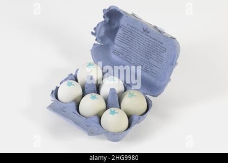 Old Cotswold legbar hen's eggs in blue carton Stock Photo