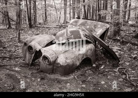 This forlorn old Ford truck sits deep in the woods on a land trust property I often hike with my dog in rural Door County Wisconsin. Stock Photo