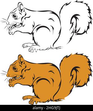 Squirrel, squirrel figure, realistic image, vector, positions, illustration, black and white, color, silhouette, logo, trademark, chevron Stock Vector