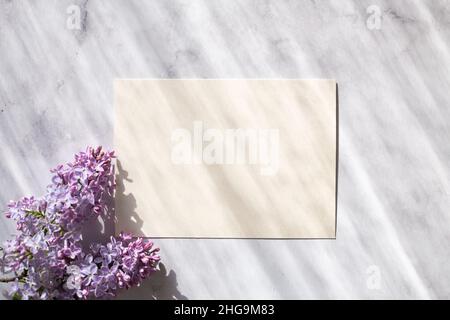 Flowers composition. Sheet of paper and lilac flowers with sunlight shadows on stone background. Flat lay, top view Stock Photo