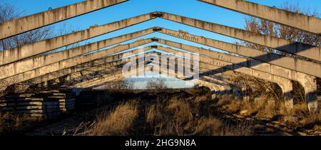 Abandoned and ruined old farm overgrown with bushes and trees Stock Photo