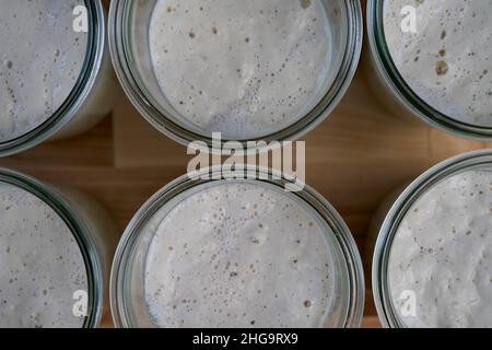 Close up view of six jars of sourdough bread starter on a wooden countertop Stock Photo