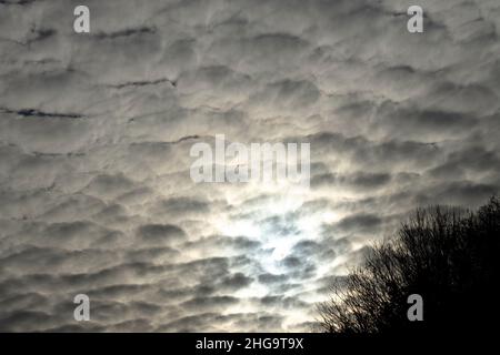 Altocumulus are mid-level layers or patches of cloudlets in the shape of rounded clumps. Usually compose of droplets of water they may contain ice Stock Photo