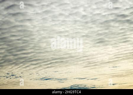 Altocumulus are mid-level layers or patches of cloudlets in the shape of rounded clumps. The layer has almost becomes a blanket form soon to disperse Stock Photo