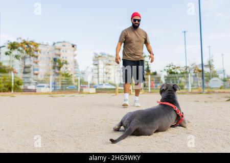 handsom man in red hat and sunglasses training dog outdoors in sity park zone dog walking area background Stock Photo