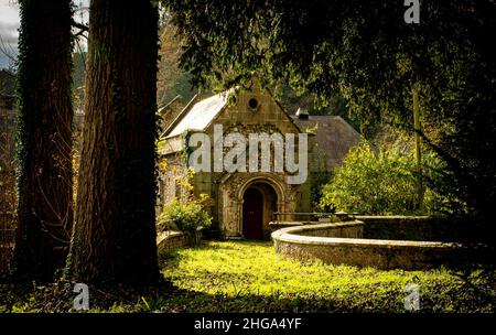 Views of Arundel Park, West Sussex in Autumn, with Church in Forest Stock Photo