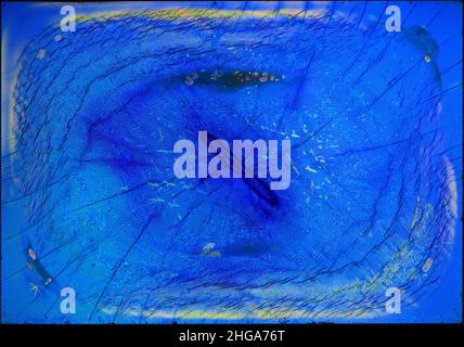 Broken lcd screen background Stock Photo