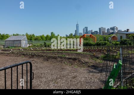 compost facility tour Stock Photo