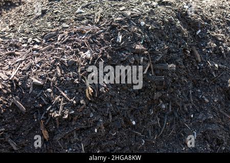 compost facility tour Stock Photo