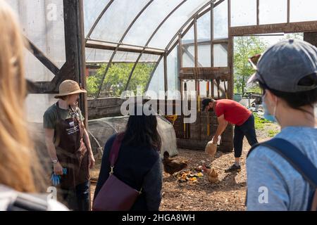 compost facility tour Stock Photo