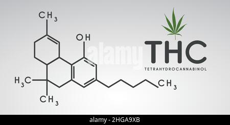 Thc formula. tetrahydrocannabinol molecule structure compound. Medical marijuana molecules, biochemistry formula. Chemistry addiction. Vector illustra Stock Vector