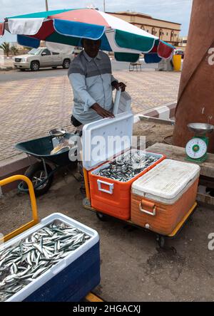Farasani Men In The Fish Market Red Sea Farasan Saudi Arabia Stock Farasani Men In The Fish Market Red Sea Farasan Saudi Arabia Stock