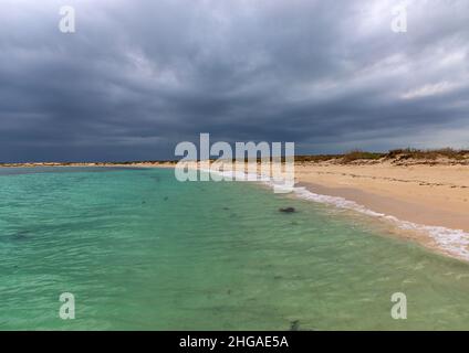 Green sea, Jazan Province, Farasan, Saudi Arabia Stock Photo