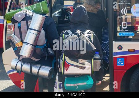 Cat travelling in backpack with owners and camping gear boarding bus in Scotland Stock Photo