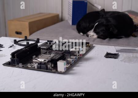 Computer technician installs cooling system of computer. Engineer repairing computer (pc) board. Technician plug in electronic parts on motherboard.Do Stock Photo