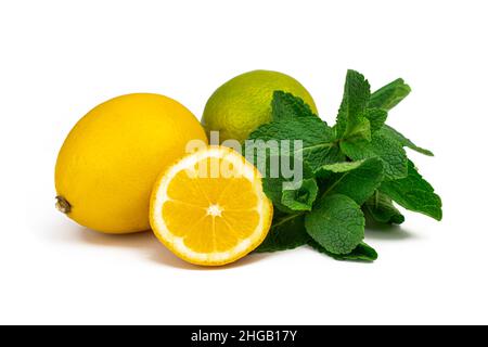 Fresh green mint leaves, lemon and lime isolated on white background. Part of set. Stock Photo