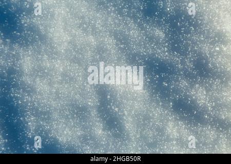 snow texture background. Virgin powder snow Stock Photo