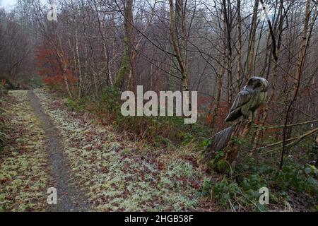 Owl tree carving in Coed Pen y Pigyn woods, Corwen, Wales Stock Photo