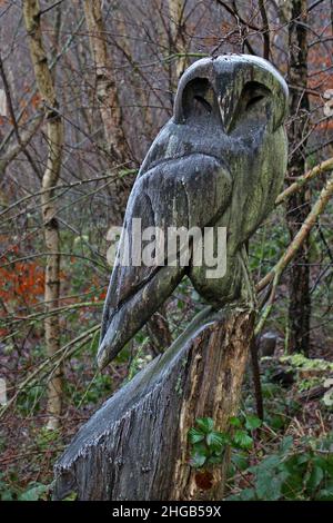 Owl tree carving in Coed Pen y Pigyn woods, Corwen, Wales Stock Photo