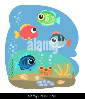 marine aquarium fish