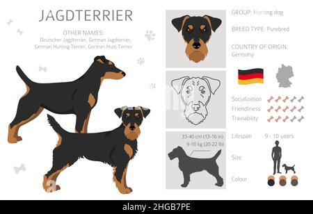 Growth Jagdterrier - Puppy weight chart Jagdterrier