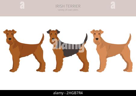 irish-terrier-clipart-