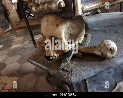 Skull and Bone Stock Photo