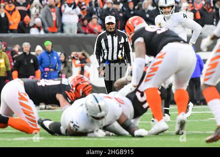 Los Angeles, CA, USA. 30th Dec, 2018. Referee Jerome Boger looking at  Microsoft Surface for a replay during the NFL San Francisco 49ers vs Los  Angeles Rams at the Los Angeles Memorial