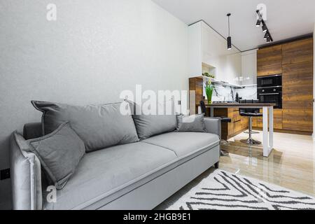 Interior of the living room with sofa and kitchen Stock Photo